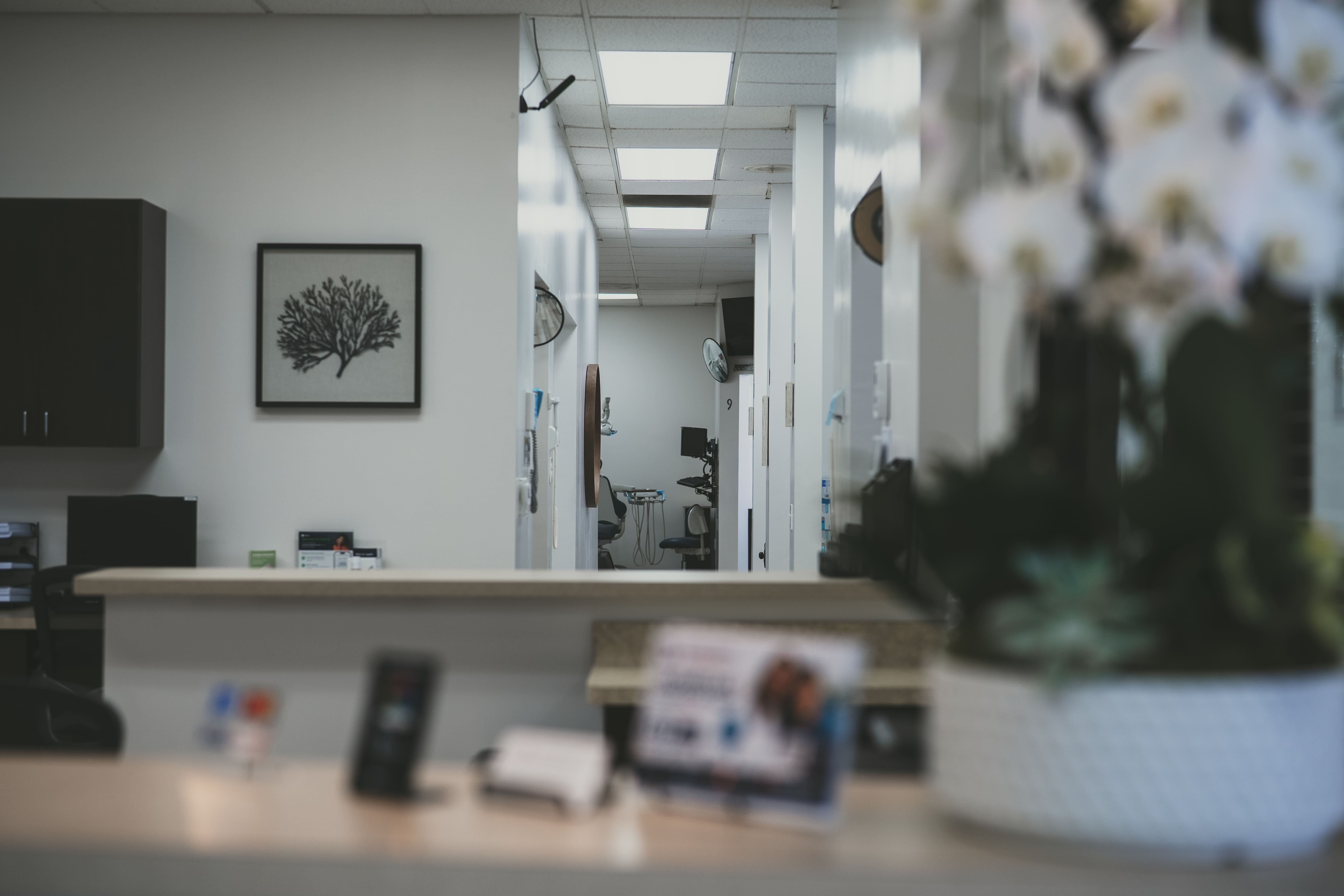 Making the Most of Your Dental Benefits in Los Angeles